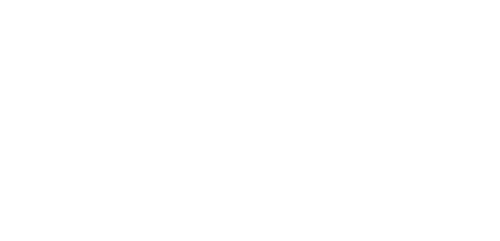 Nemo lighting logo