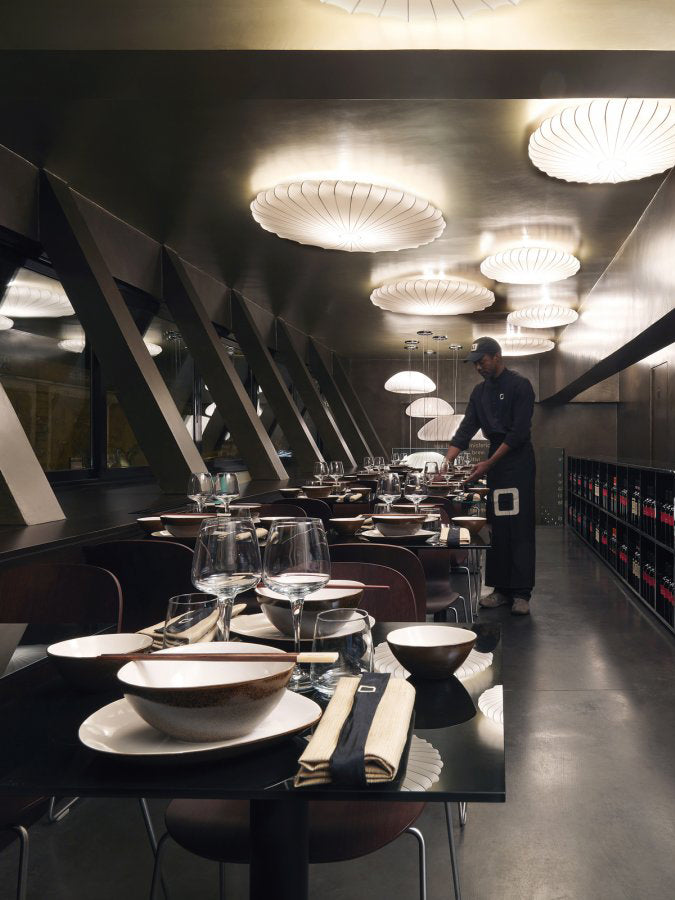Muse Ceiling & Wall Light