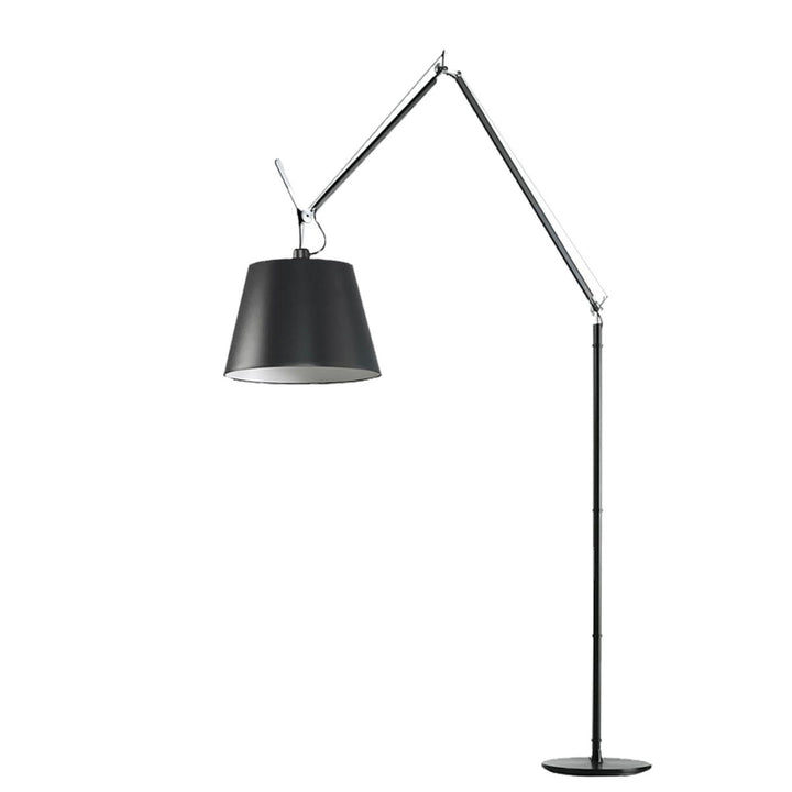Artemide Tolomeo Lamp