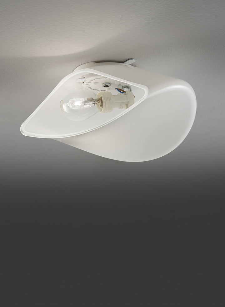 Balance Wall Ceiling Light