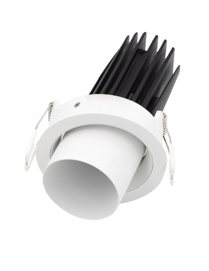 Darc 80 Long Downlight