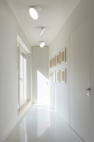 Venere Wall & Ceiling Light