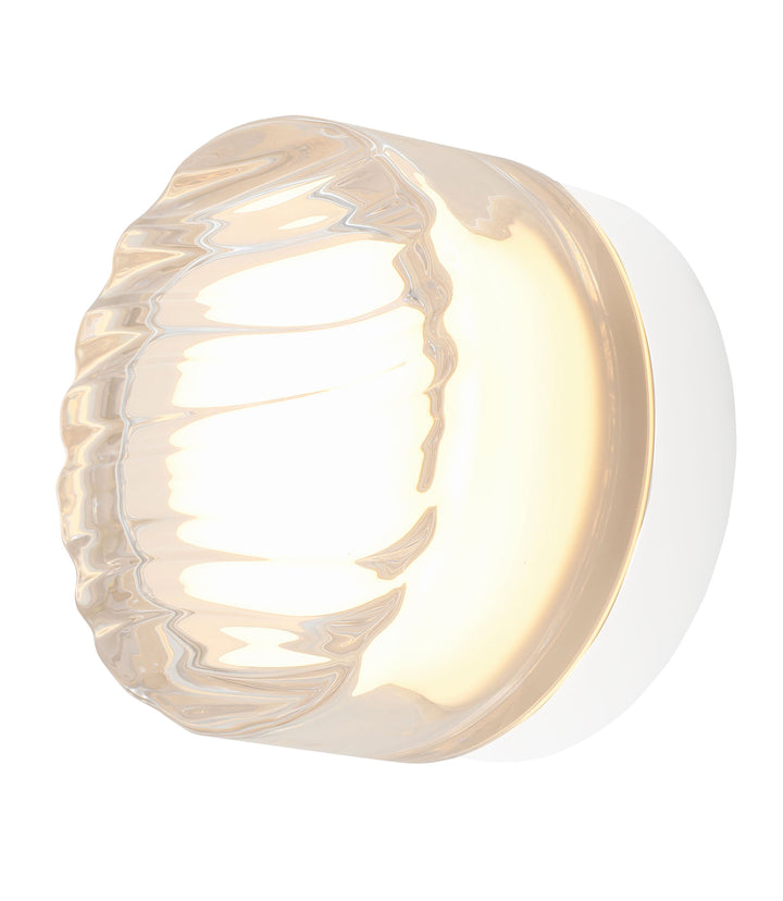 Loop Interior/Exterior Ceiling Wall Light