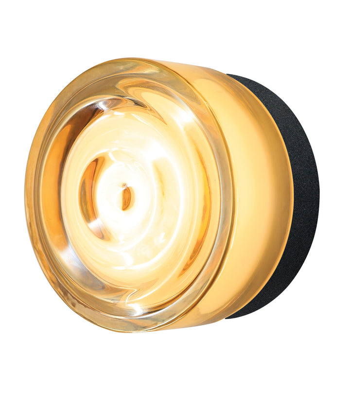 Loop Interior/Exterior Ceiling Wall Light