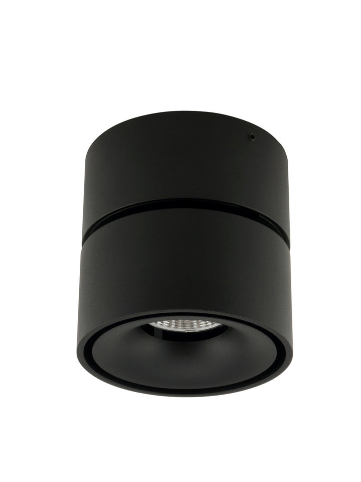 Tommy Ceiling Mount Spot