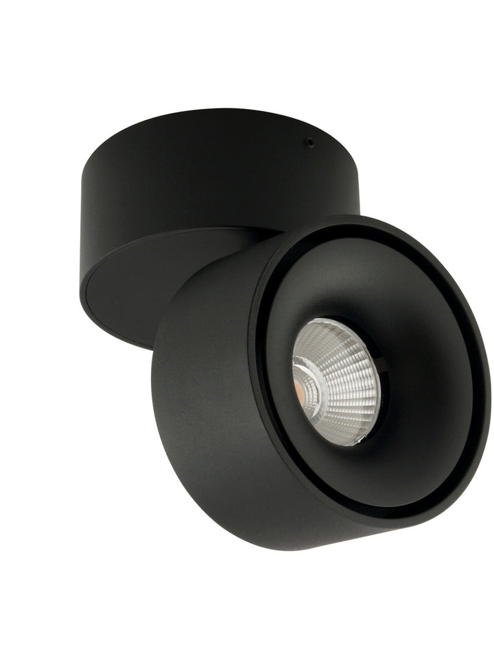Tommy Ceiling Mount Spot