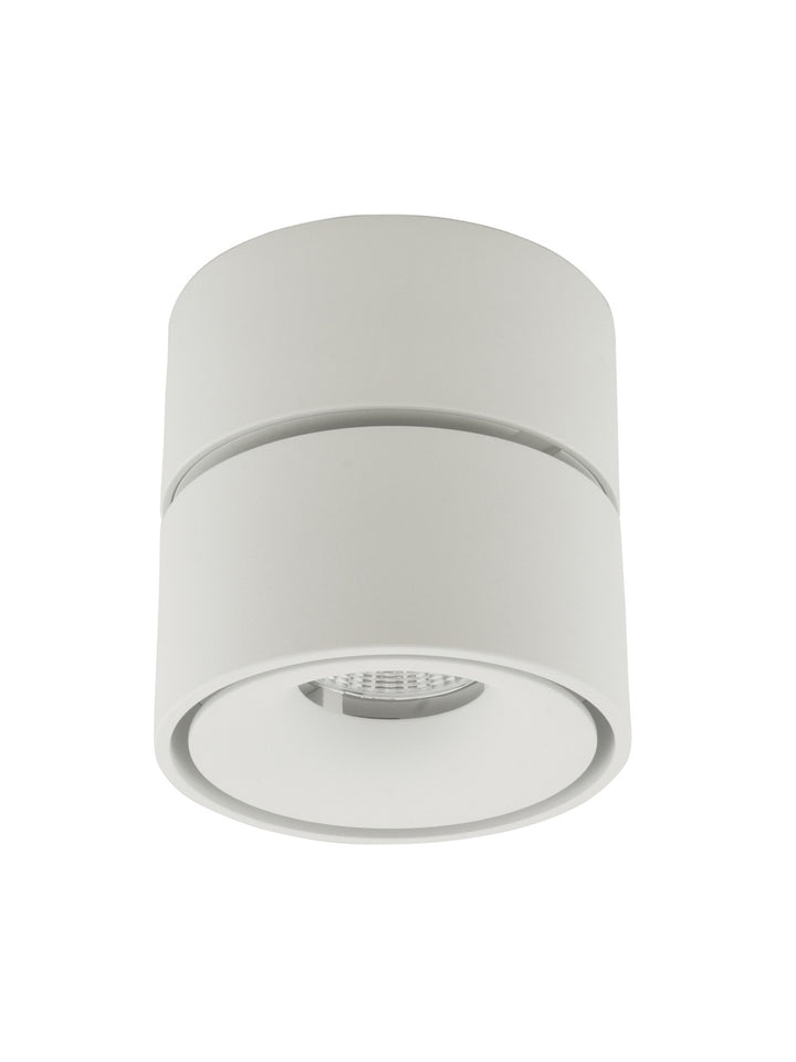 Tommy Ceiling Mount Spot