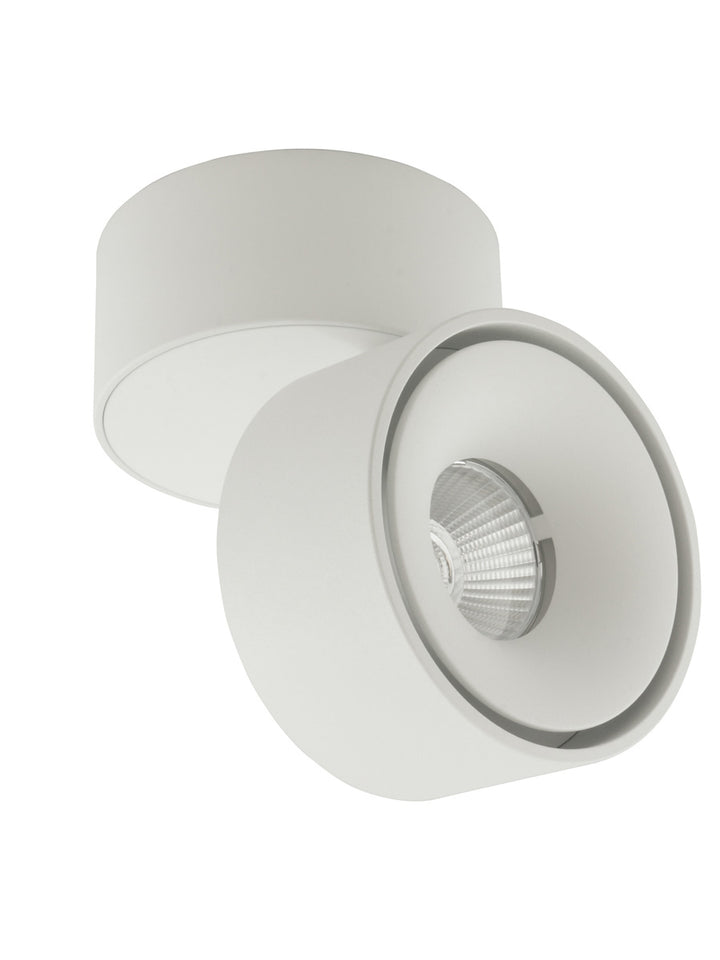 Tommy Ceiling Mount Spot