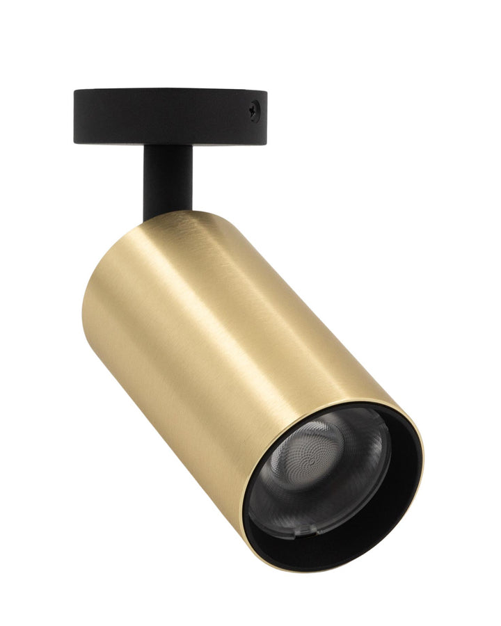 Veer Adjustable Ceiling Spot