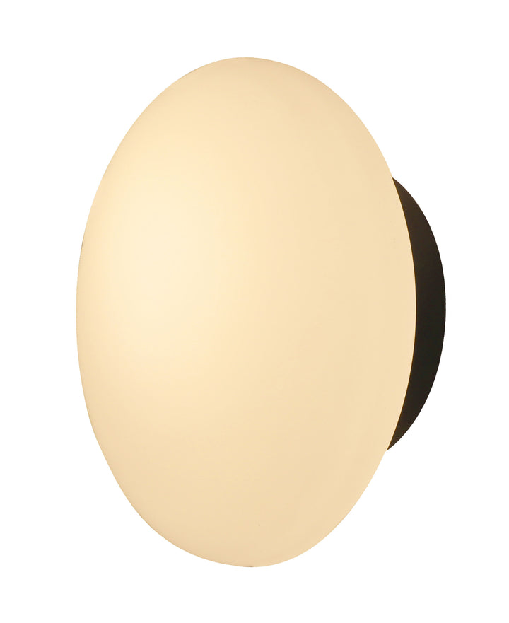 Loop Piatto Ceiling Wall Light