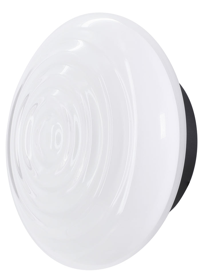 Loop Piatto Ceiling Wall Light