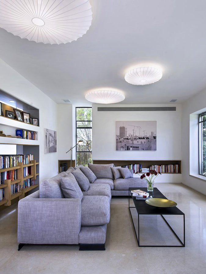 Muse Ceiling & Wall Light