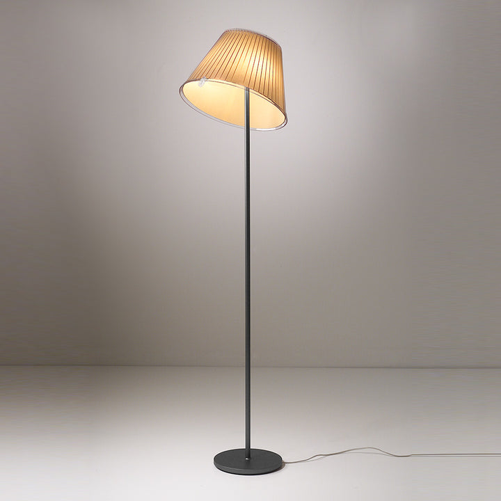 Choose Floor Lamp