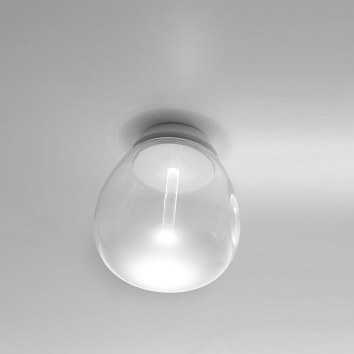 Empatia Ceiling Wall Light