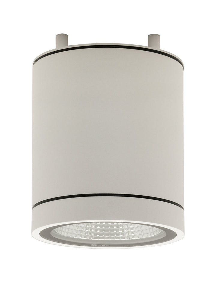 Moby Outdoor Ceiling Light