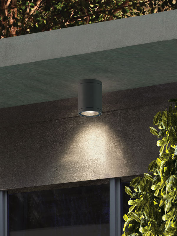 Moby Outdoor Ceiling Light